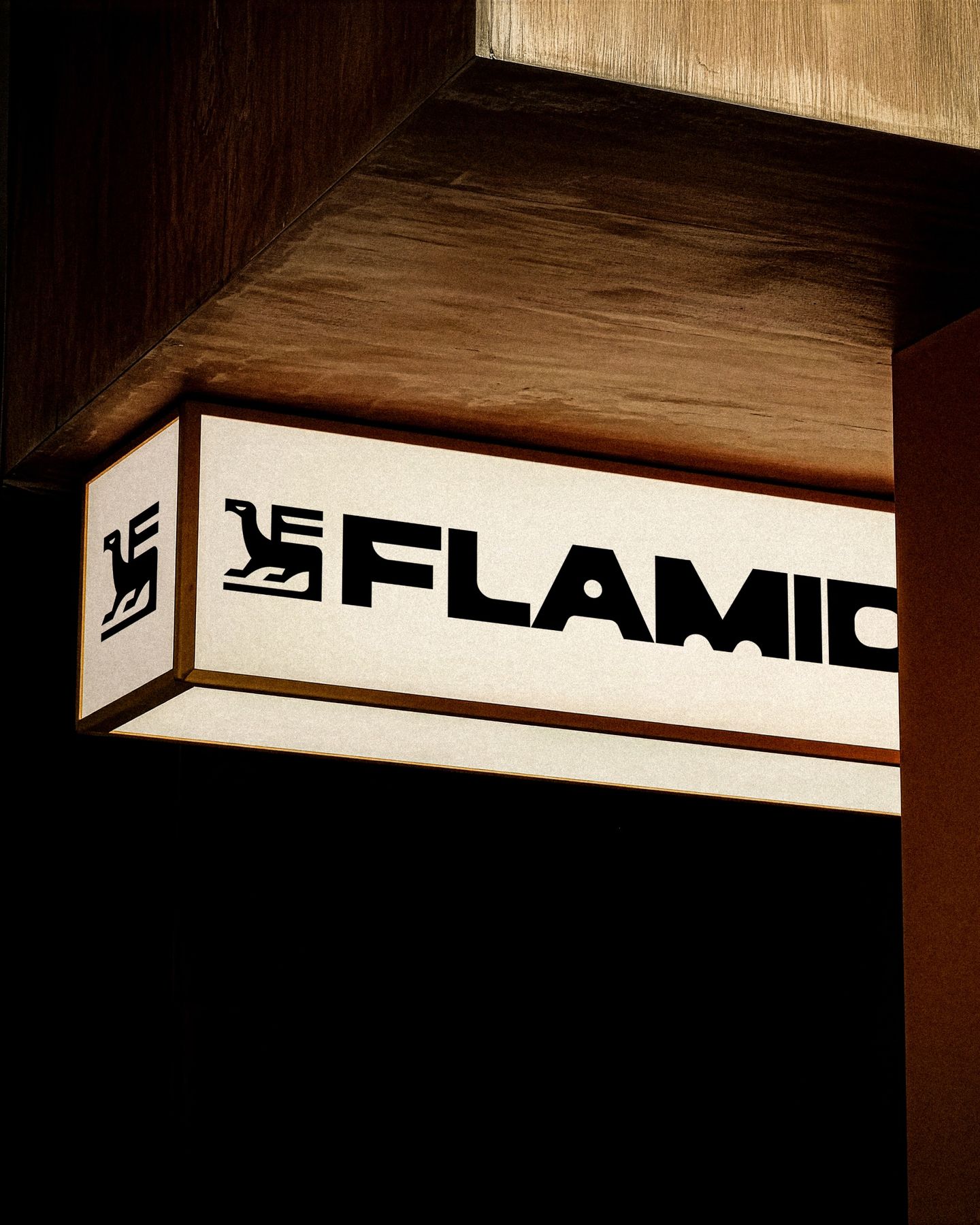 Leuchtkasten mit Flamid Logo